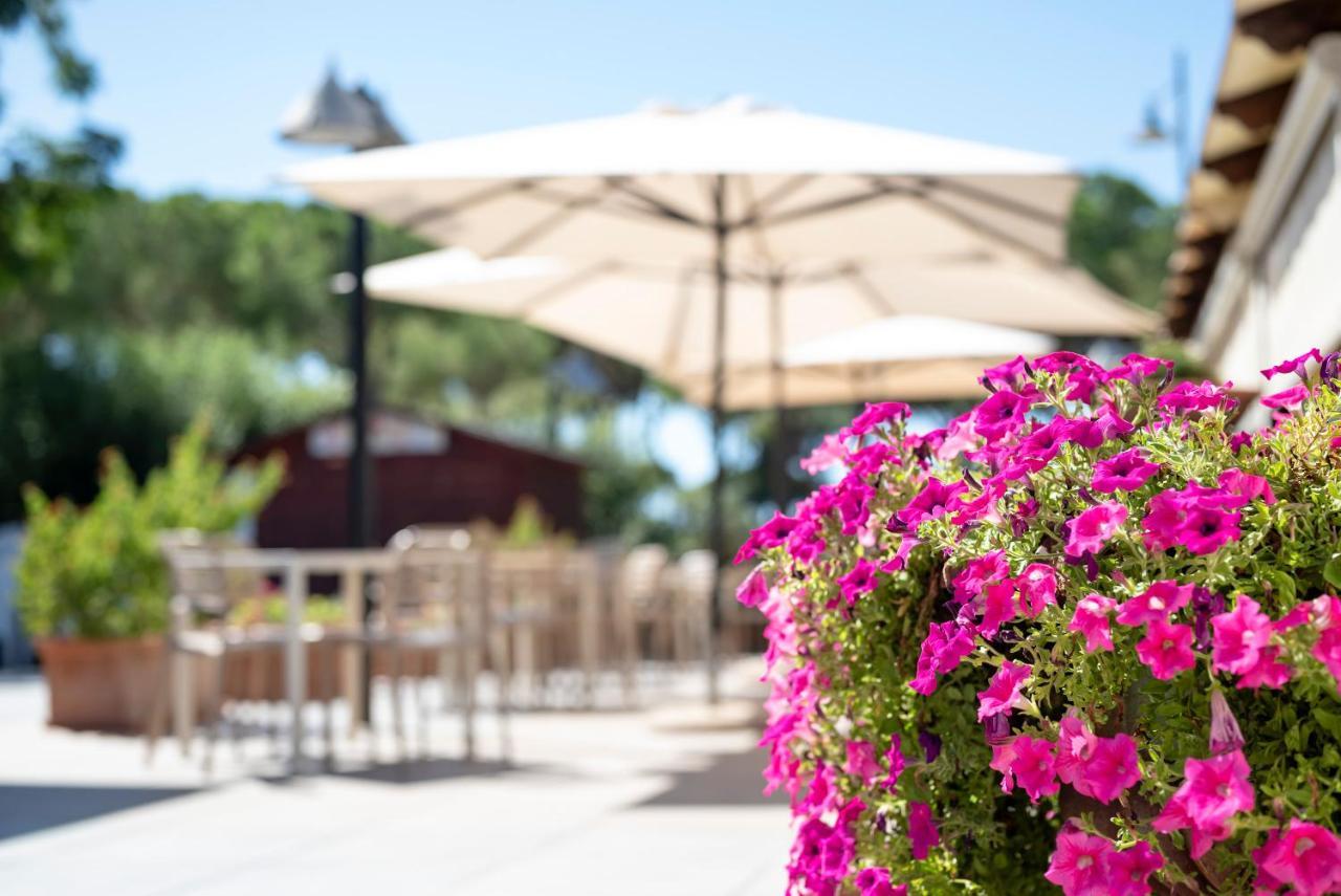 Villaggio Il Girasole ฟอลลอนนีกา ภายนอก รูปภาพ