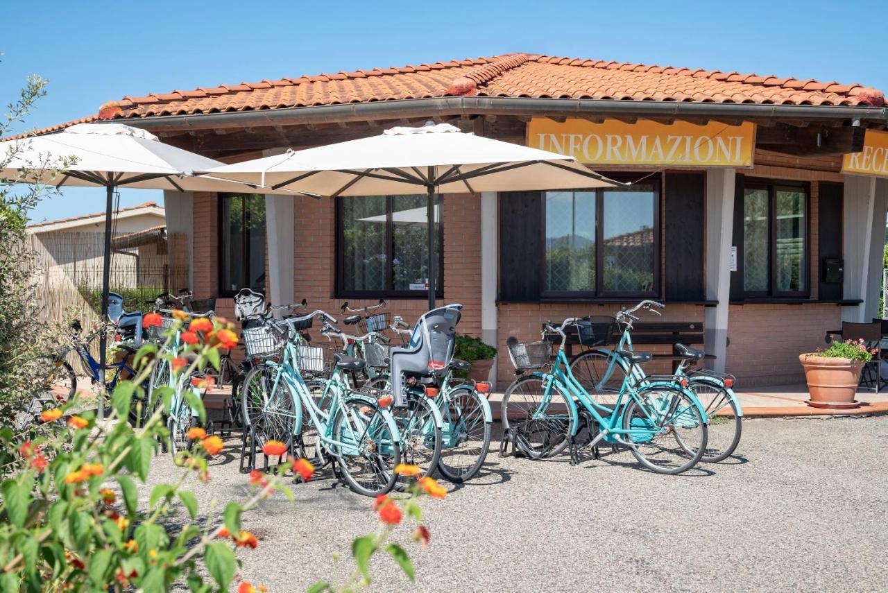 Villaggio Il Girasole ฟอลลอนนีกา ภายนอก รูปภาพ